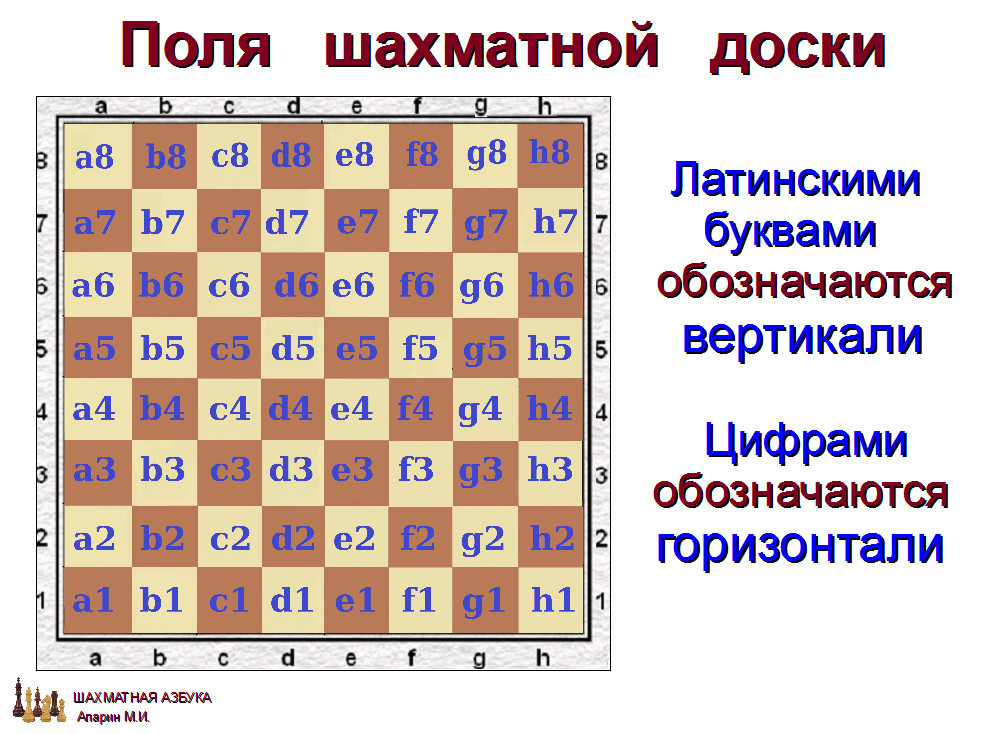 слайд 1.1-04.jpg