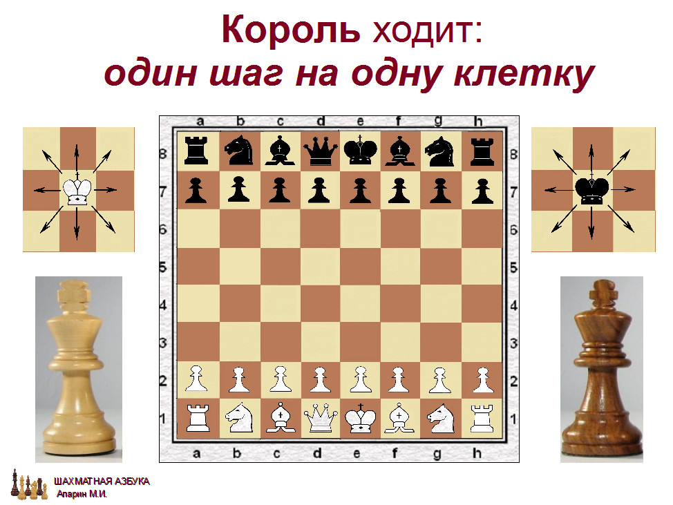 слайд 1.1-09.jpg
