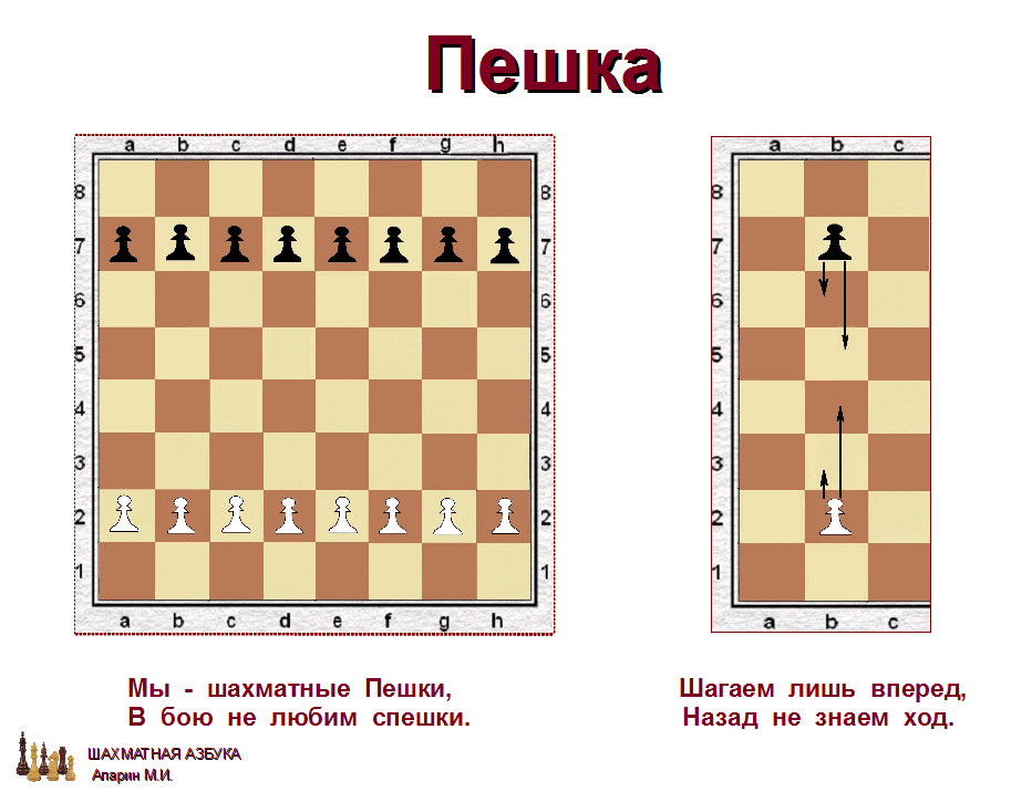 слайд 1.1-11.jpg