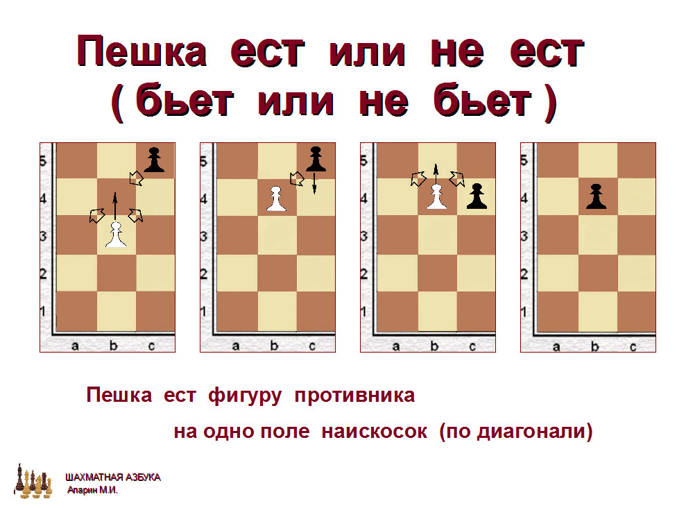 слайд 1.1-13.jpg