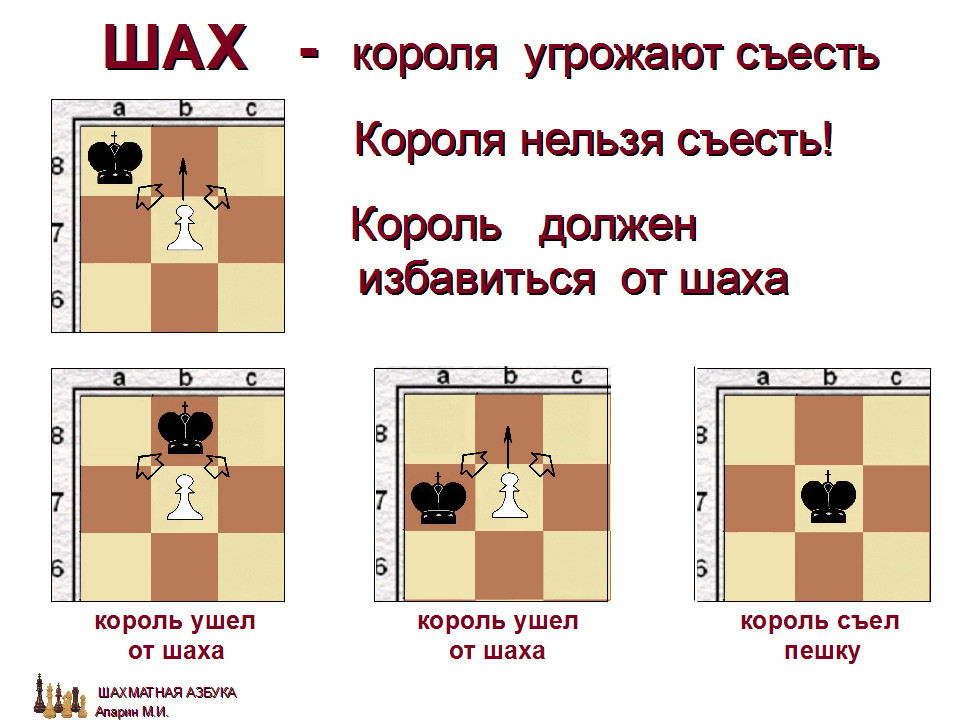 слайд 1.1-17.jpg