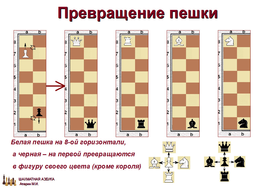 слайд 1.1-21.jpg
