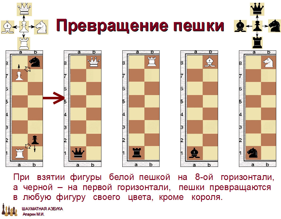 слайд 1.1-22.jpg