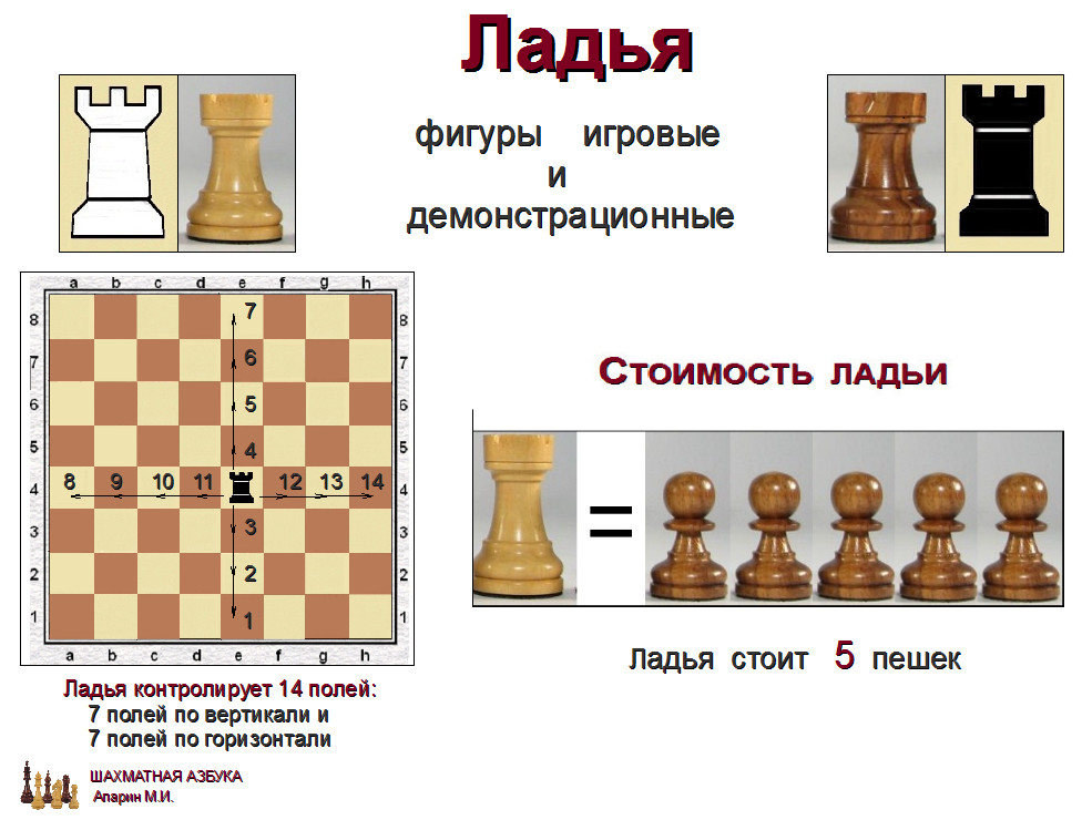 слайд 1.2-01.jpg
