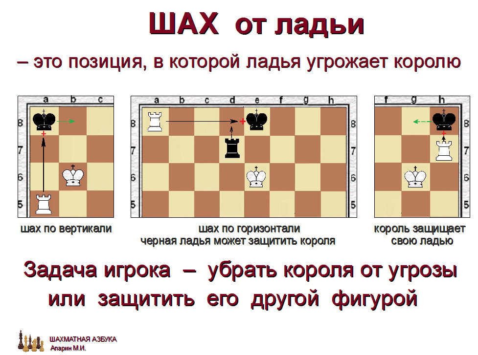 слайд 1.2-03.jpg