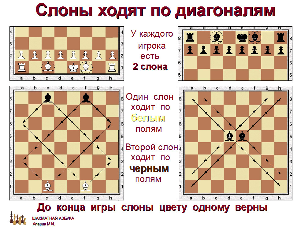 слайд 1.2-11.jpg
