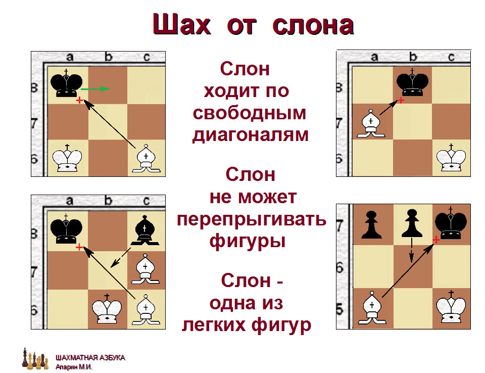 слайд 1.2-12.jpg
