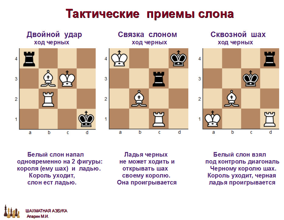 слайд 1.2-17.jpg