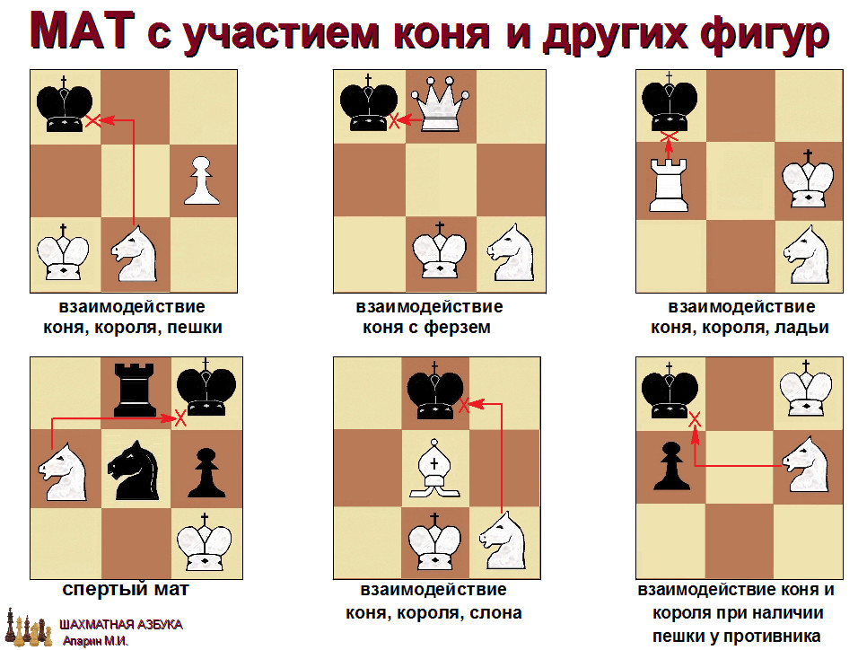 слайд 1.3-19.jpg